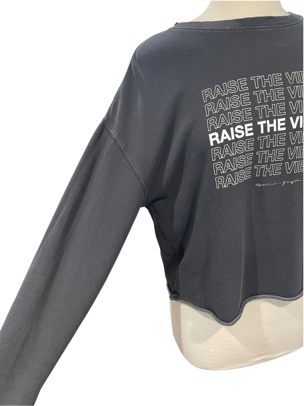 Spiritual Gangster RAISE THE VIBRATION Graphic Cropped Sweatshirt SZ L - Picture 3 of 6